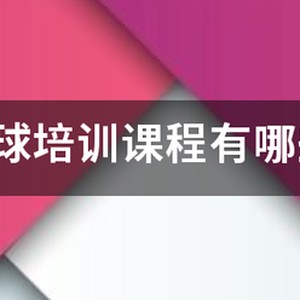 青少年篮球训练教案90分钟视频大全